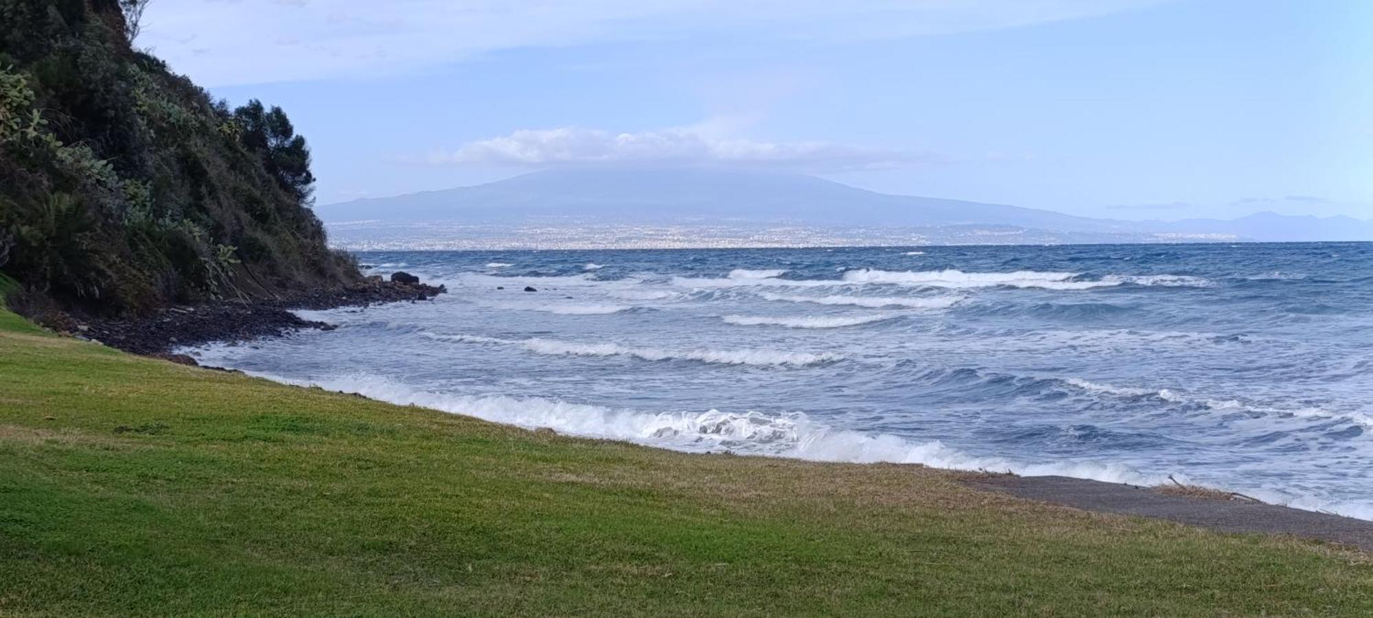Perla Marina *